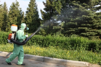 Уничтожение комаров в Куровском